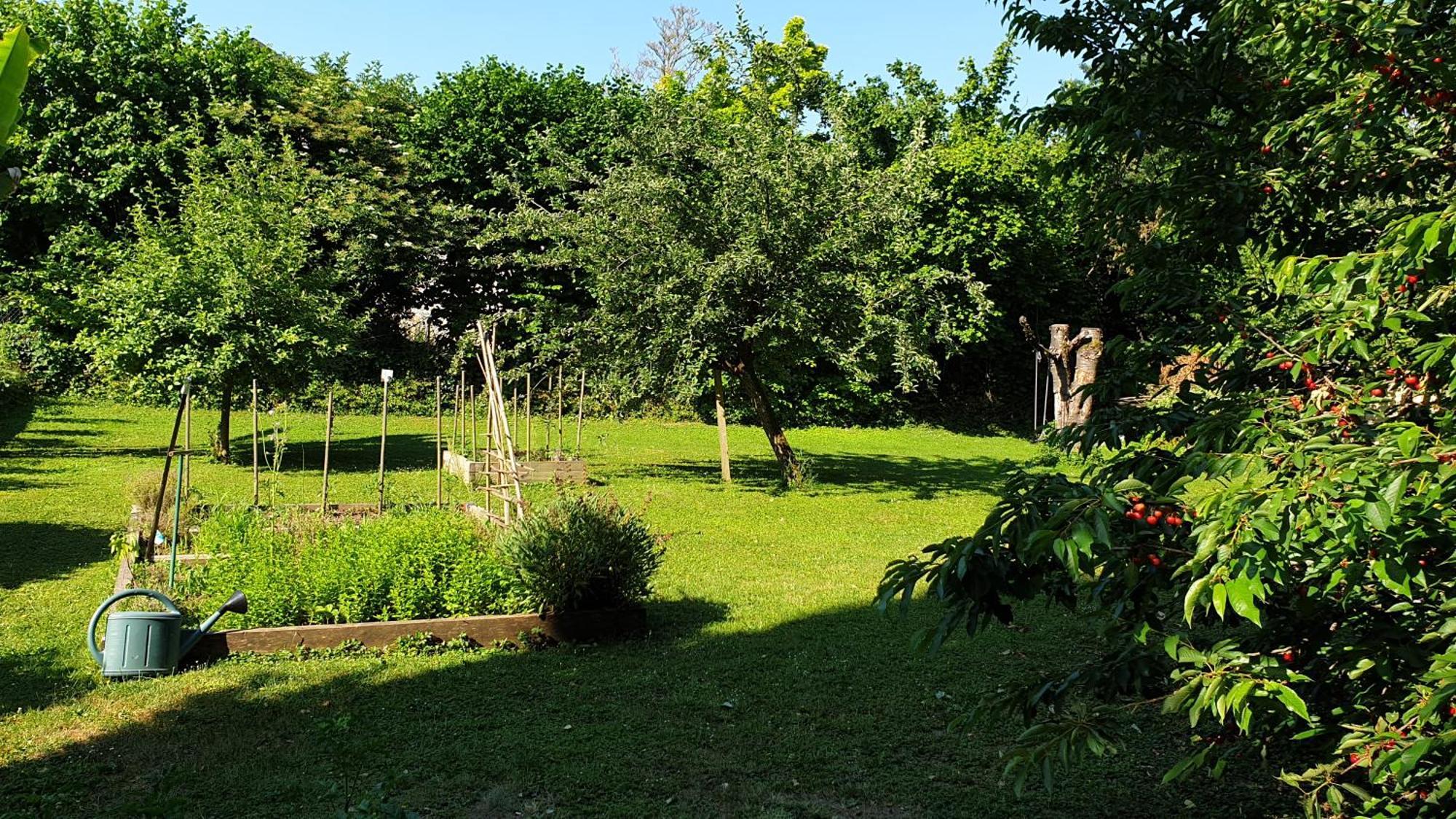 Gite 5 Personnes Fleurville Cameră foto